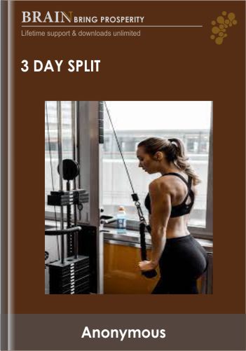 Dr Joel – 3 Day Split Training Program