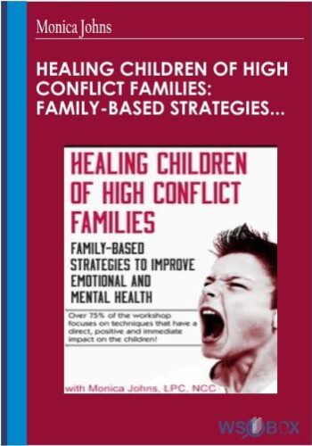 Healing Children Of High Conflict Families: Family-Based Strategies To Improve Emotional And Mental Health – Monica Johns