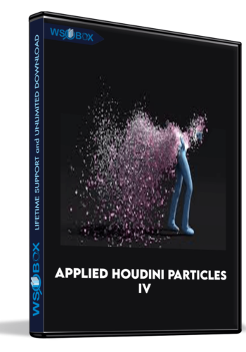 Applied Houdini Particles IV