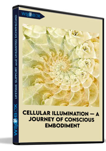 Cellular Illumination — A Journey Of Conscious Embodiment