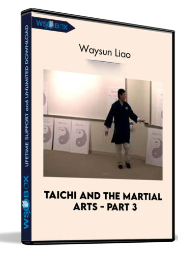 Taichi And The Martial Arts – Part 3 – Waysun Liao