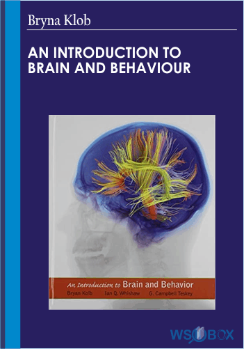 An Introduction To Brain And Behaviour – Bryna Klob