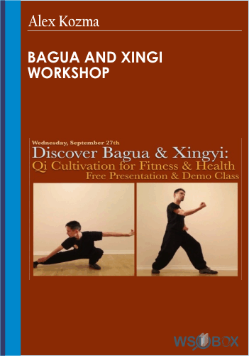Bagua And Xingi Workshop – Alex Kozma