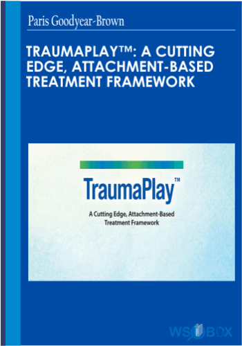 TraumaPlay™: A Cutting Edge, Attachment-Based Treatment Framework – Paris Goodyear-Brown