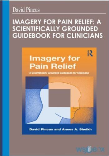 Imagery For Pain Relief: A Scientifically Grounded Guidebook For Clinicians – David Pincus