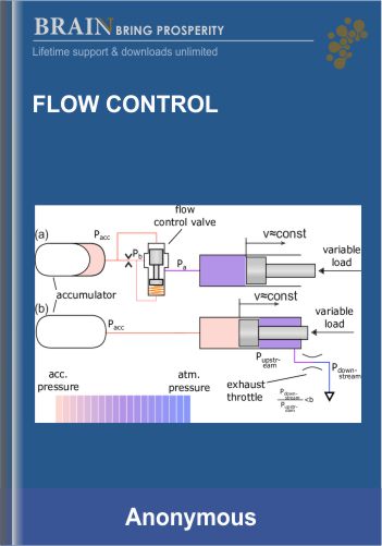 Flow Control – Claus Levin