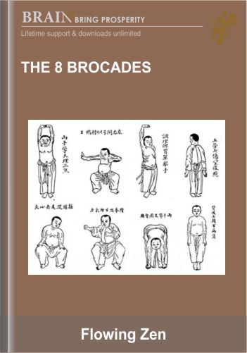 The 8 Brocades – Flowing Zen