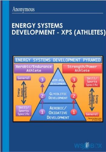 Energy Systems Development – XPS (Athletes)