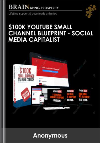 $100K Youtube Small Channel Blueprint – Social Media Capitalist