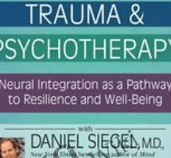 2017 Principles and Practice of CBT-I: Cognitive Behavioral Therapy for Insomnia - Donn Posner ,  Michael Perlis &  Jason Ellis