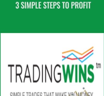 3 Simple Steps to Profit - Vince Vora