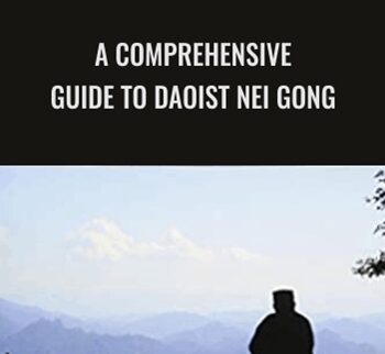 A Comprehensive Guide to Daoist Nei Gong - Damo Mitchell