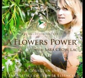 A Flower's Power: A Course In Flower Essences