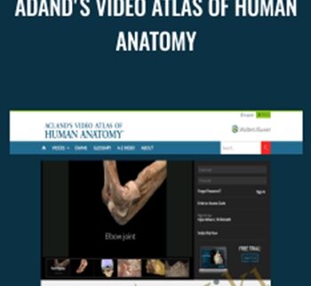 Adand's Video Atlas of Human Anatomy