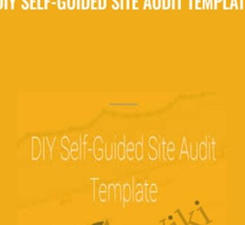 DIY Self-Guided Site Audit Template - Annie Cushing