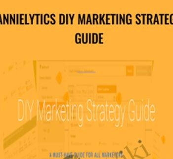 Annielytics DIY Marketing Strategy Guide – Annie Cushing