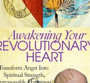 Awakening Your Revolutionary Heart - Terry Patten