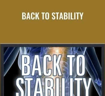 Back To Stability - Sam Visnic