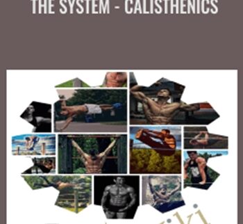 The System - Calisthenics - Bar Brothers