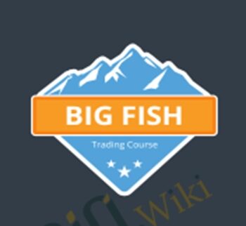Big Fish Trading Strategy - Base Camp Trading