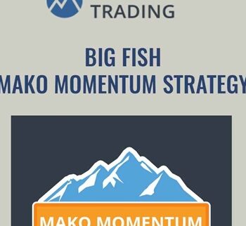 Big Fish Mako Momentum Strategy - Base Camp Trading