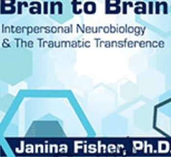 Brain to Brain: Interpersonal Neurobiology & The Traumatic Transference - Janina Fisher