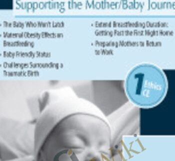 Breastfeeding Success: Supporting the Mother/Baby Journey - Dawn M. Kersula
