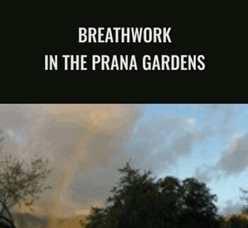 Breathwork in the Prana Gardens - Dan Brule
