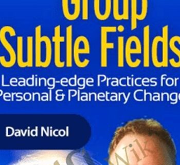 Building Group Subtle Fields - David Nicol