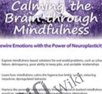 Calming the Brain through Mindfulness: Rewire Emotions with the Power of Neuroplasticity - Mark L. Beischel