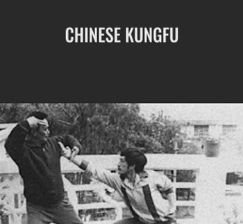 Chinese Kungfu - Zi Ran Men