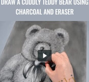 Draw a Cuddly Teddy Bear using Charcoal and Eraser - Cindy Wider
