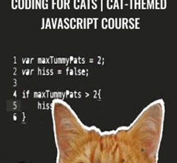 Coding for Cats | Cat-Themed JavaScript Course - Mammoth Interactive