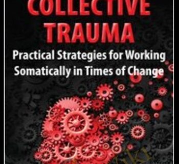 Collective Trauma: Practical Strategies for Working Somatically in Times of Change - Manuela Mischke-Reeds
