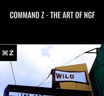 Command Z - The Art of NGF