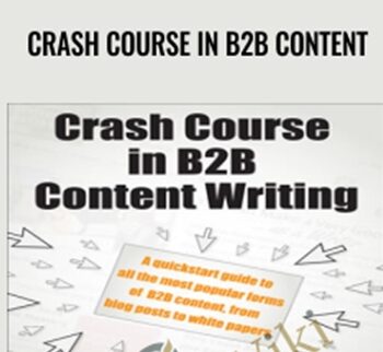 Crash Course In B2B Content
