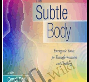 The Subtle Body Training Course - Cyndi Dale