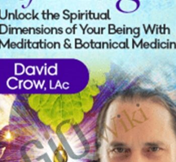 The Matrix of Magic - David Crow, LAc