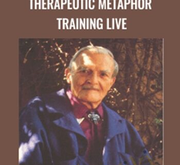 Therapeutic Metaphor Training LIVE - David Gordon