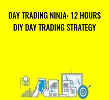 Day Trading Ninja: 12 Hours DIY Day Trading Strategy - Saad T. Hameed