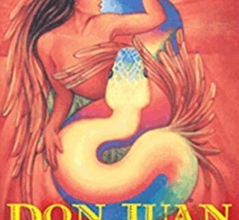 Don Juan and the Art of Sexual Energy : The Rainbow Serpent of the Toltecs - Merilyn Tunneshende