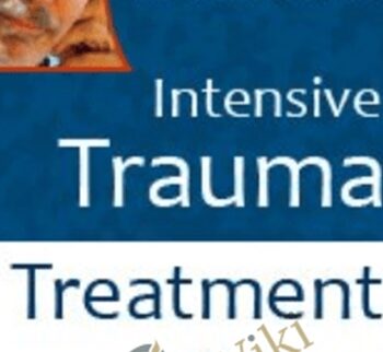Dr. Bessel van der Kolk’s Intensive Trauma Treatment Course - Alexander McFarlane ,  Ed Tronick ,  Rachel Yehuda ,  Stephen Porges ,  Stephen J Suomi &  Vincent Felitti