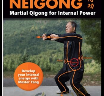 Neigong - Martial Qigong for Internal Power - Yang Jwing-Ming
