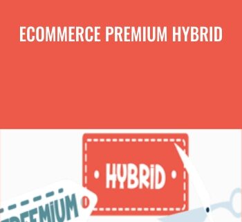 Ecommerce Premium Hybrid - Traffic