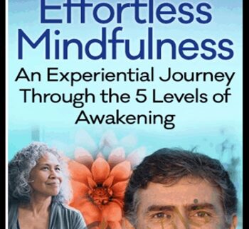 Effortless Mindfulness - Loch Kelly