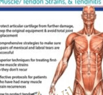 Evidence-Based Interventions for Osteoarthritis, Meniscal/Labral Lesions, Muscle/Tendon Strains, & Tendinitis - Michael T. Gross