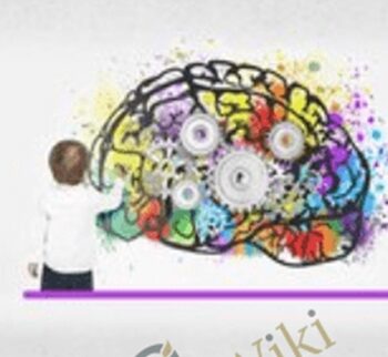 Executive Function Mastery Course: Evidence-Based Strategies To Improve Attention, Memory & Self-Regulation – George McCloskey, Lynne Kenney & Kathy Morris
