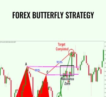 Forex Butterfly Strategy