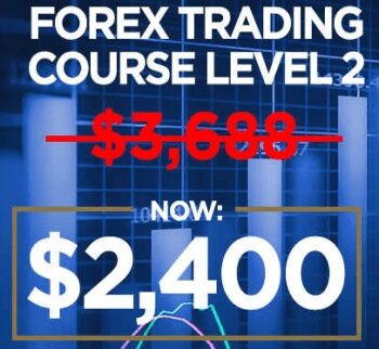 Forex Trading Course Level 2 - Pip Netter