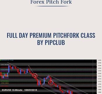 Full Day Premium Pitchfork Class by PipClub - Forex Pitch Fork